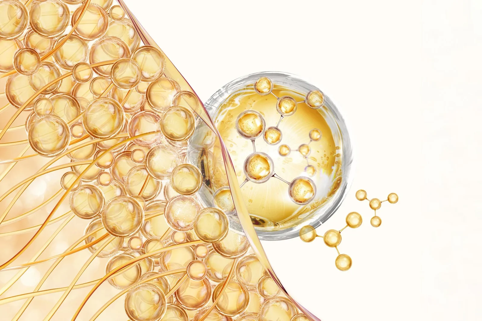 Serine Shortage Reprograms Hair Follicle Stem Cells for Faster Wound Healing