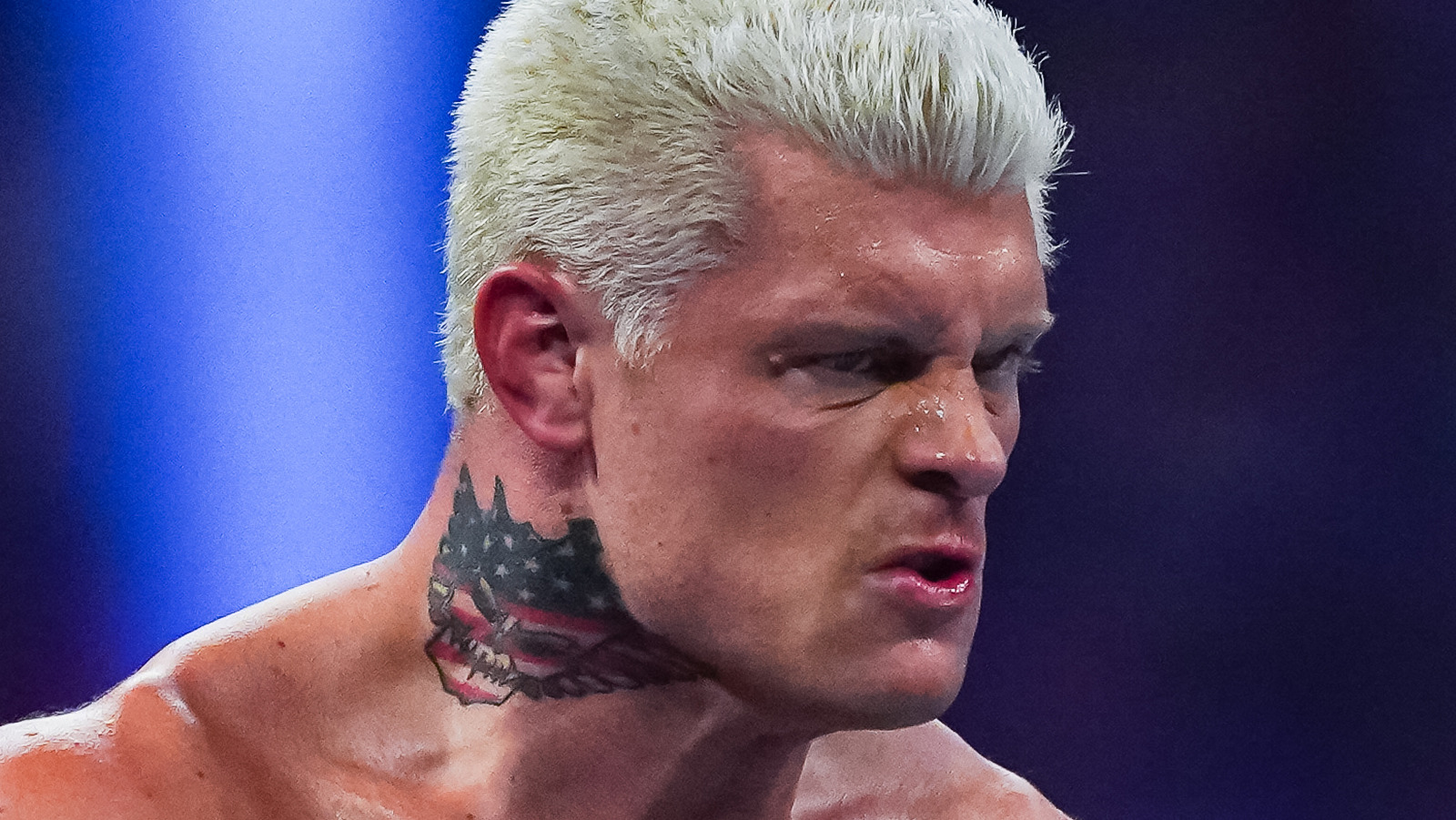 Insider Reveals Timeline for Brock Lesnar and Cody Rhodes Feud in WWE