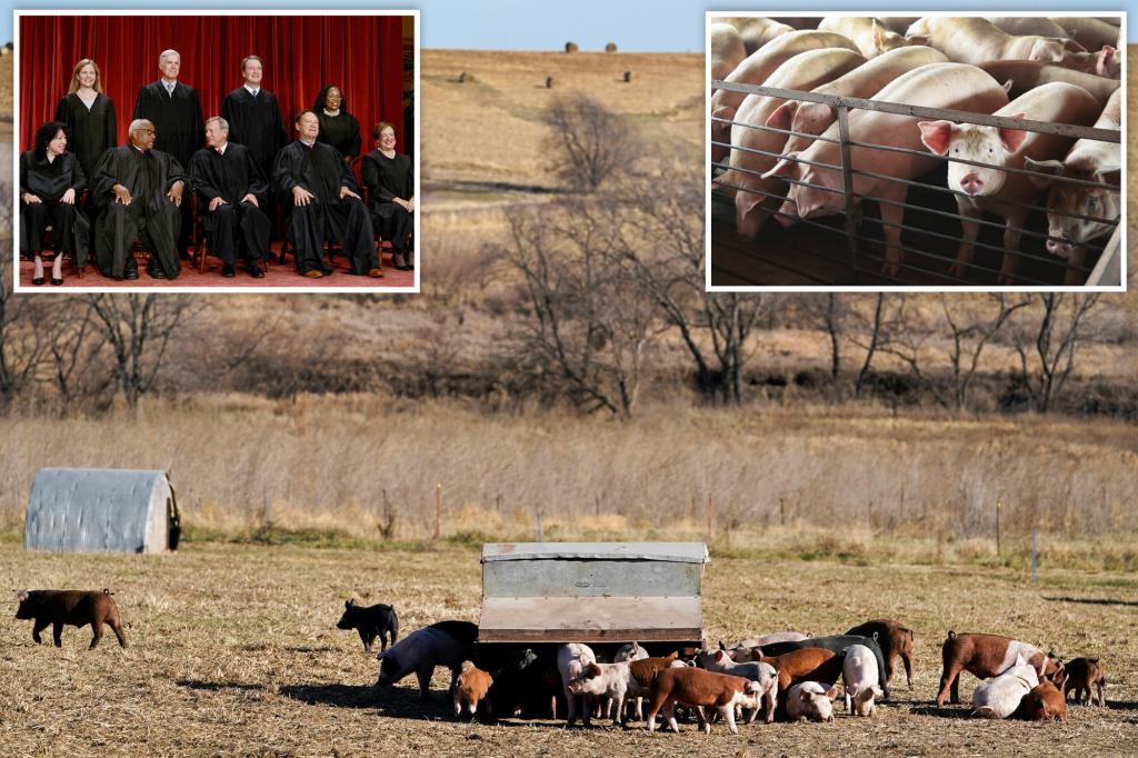 Supreme Court upholds California's pig welfare law.