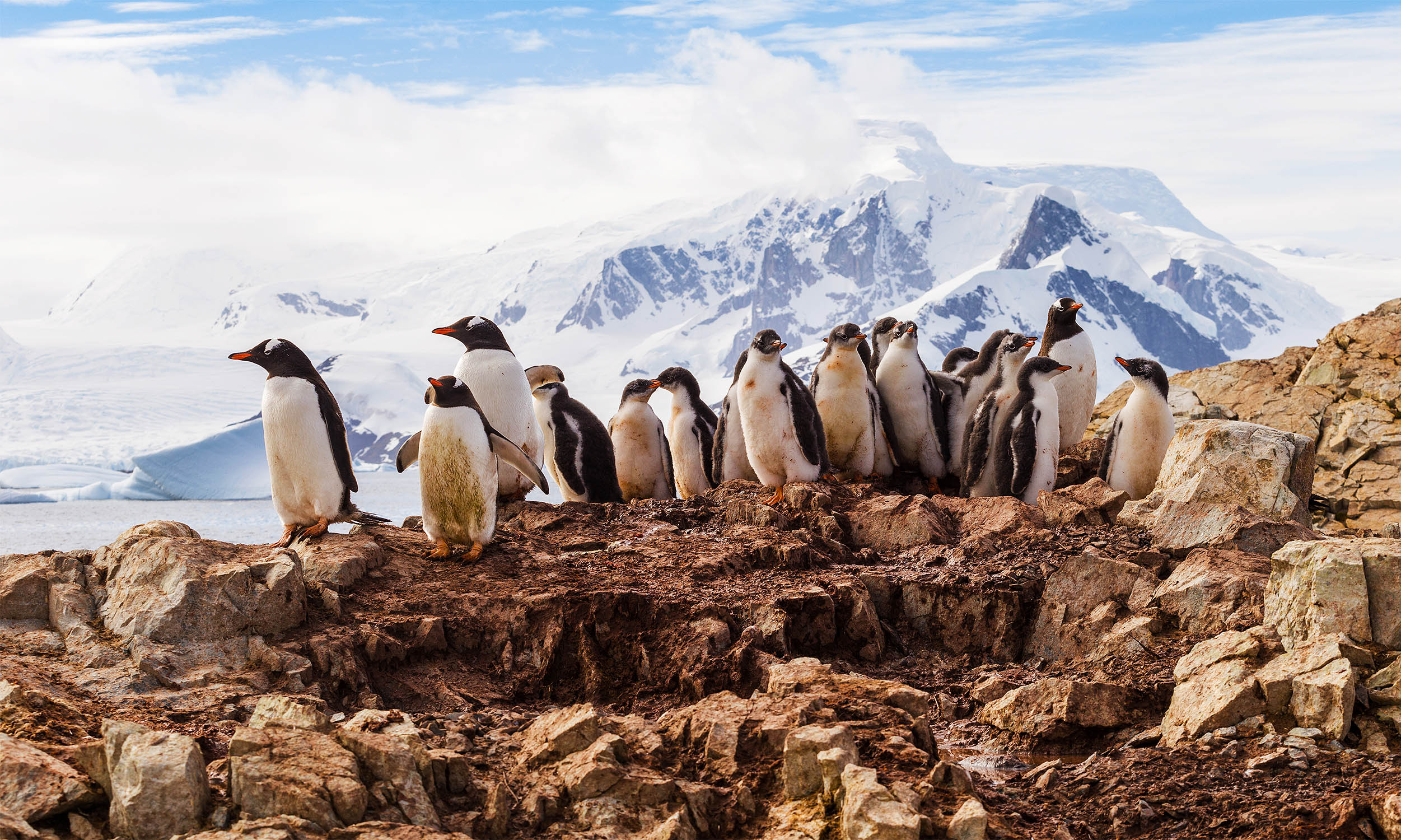 Featured image for Scientists warn of irreversible Antarctic changes and potential catastrophe