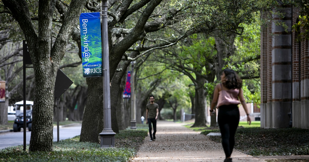 Featured image for Navigating the Path to Diversity: Implications of Affirmative Action Rulings on Education