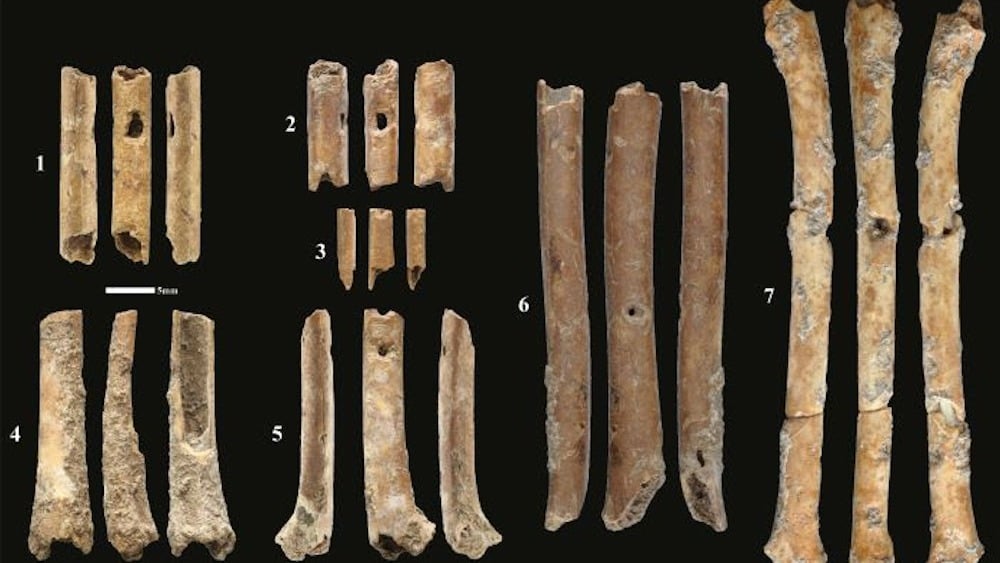 Featured image for Ancient Bone Flutes Mimic Birds of Prey Sounds.