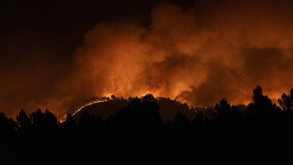 Wildfires ravage eastern Spain, forcing evacuations and destroying thousands of hectares.
