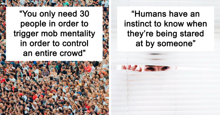 Featured image for "40 Chilling Answers: Unveiling the Dark Side of Human Nature as Netizens Share Creepy Facts"