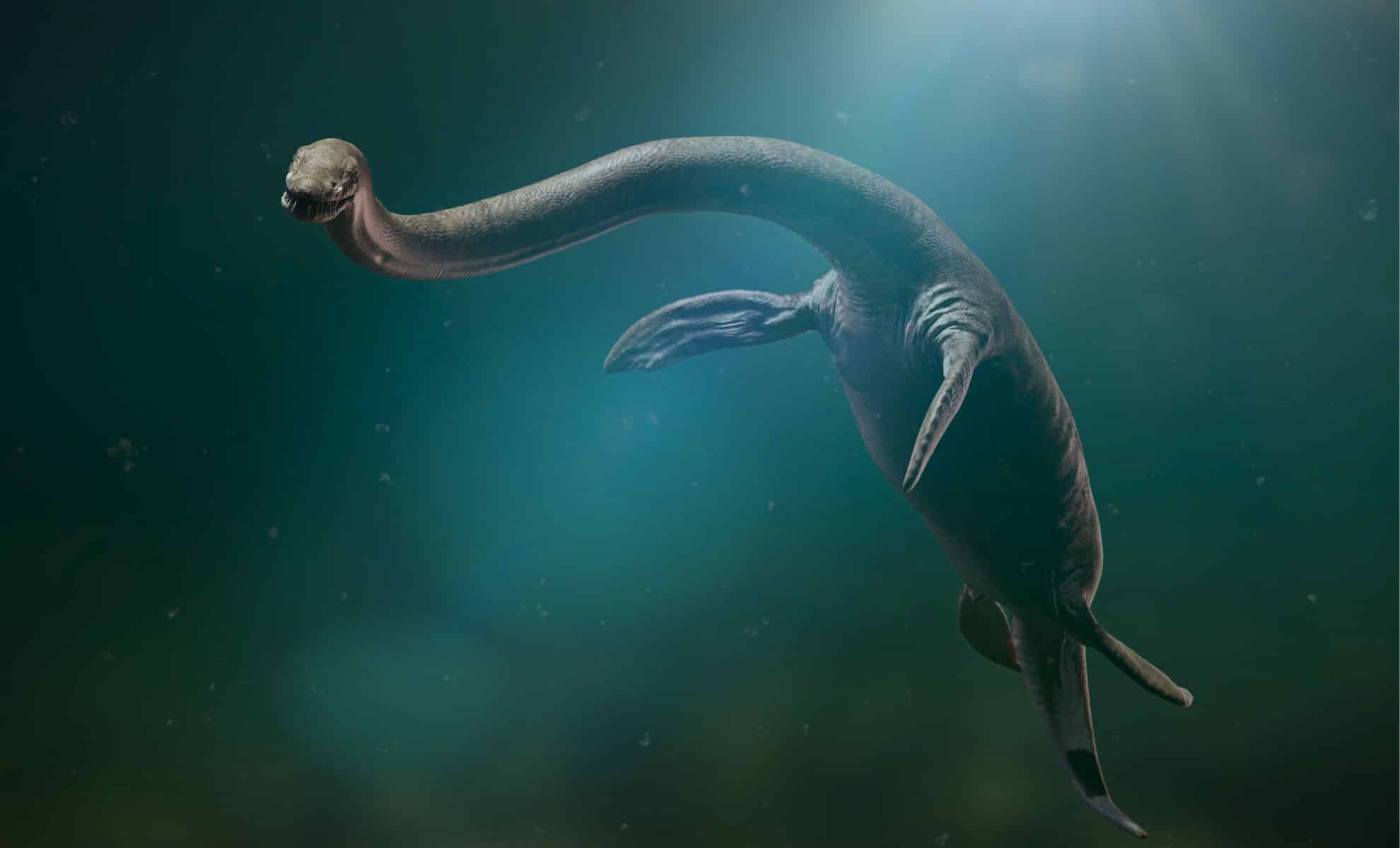 Featured image for Rare Jurassic Sea Monster with Long Neck Discovered in Germany