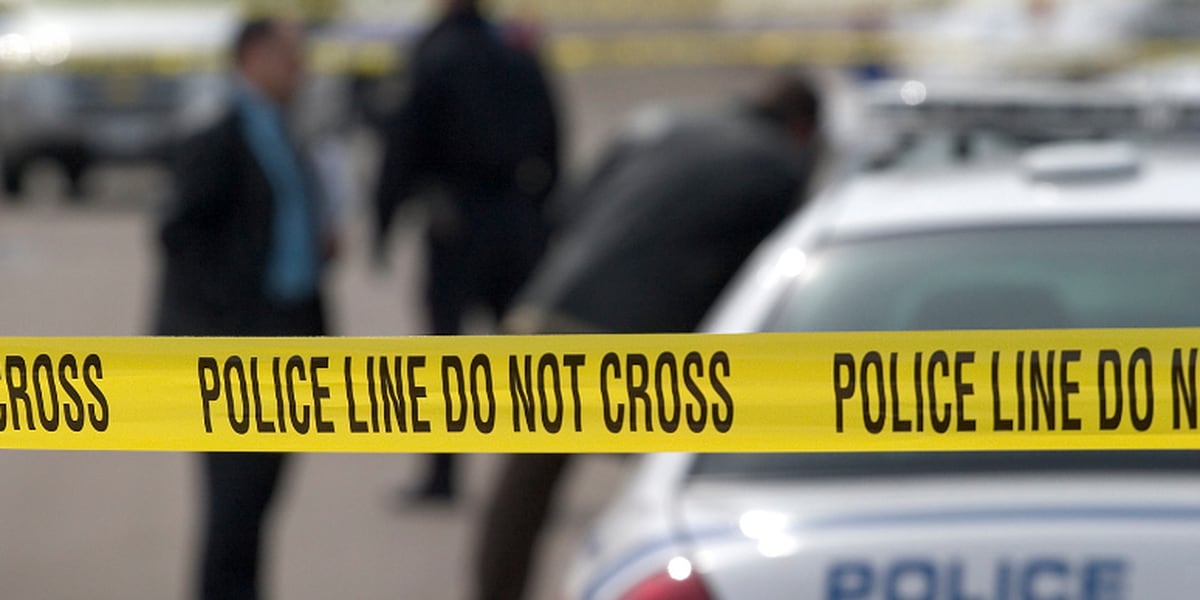 Catalytic converter thief fatally stabbed in California driveway.