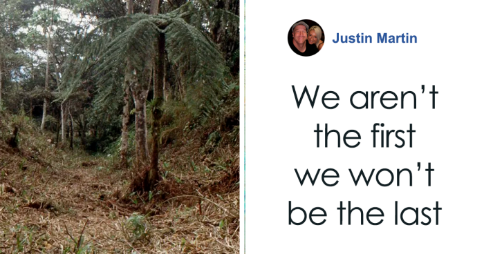 Featured image for "Revealing Ancient Amazonian Cities: A Paradigm Shift in History"