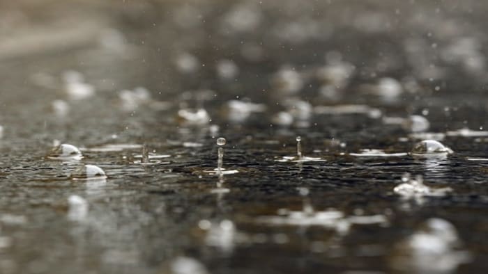 Severe Storms Expected in Metro Detroit: Essential Updates