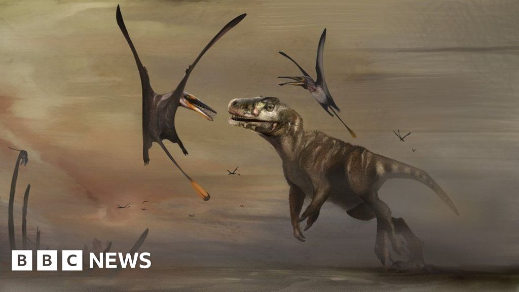 Featured image for "Decades of Dinosaur Discoveries: Unearthing Skye's Fossil Treasures"