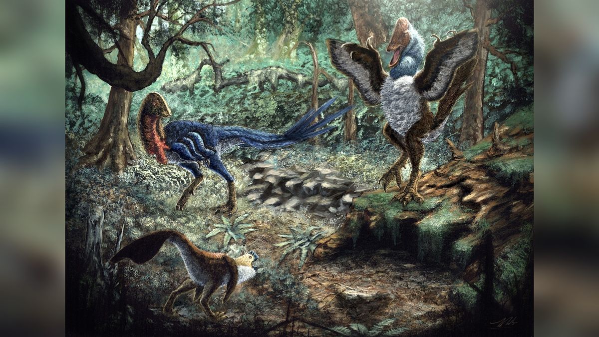 "Unearthing the 'Hell Chicken': New Dinosaur Species Discovered Online"
