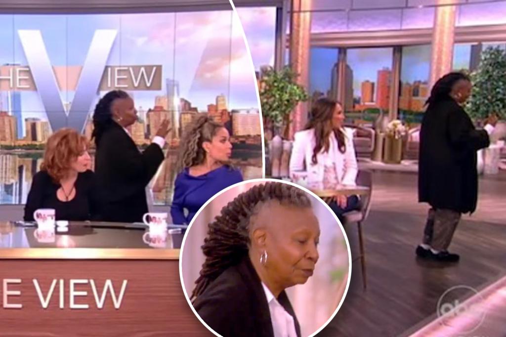 Featured image for Whoopi Goldberg Interrupts 'The View' to Confront Audience Member for Filming