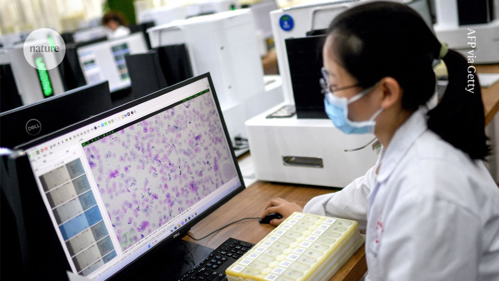 WHO Warns of AI Risks for Global Health Equity
