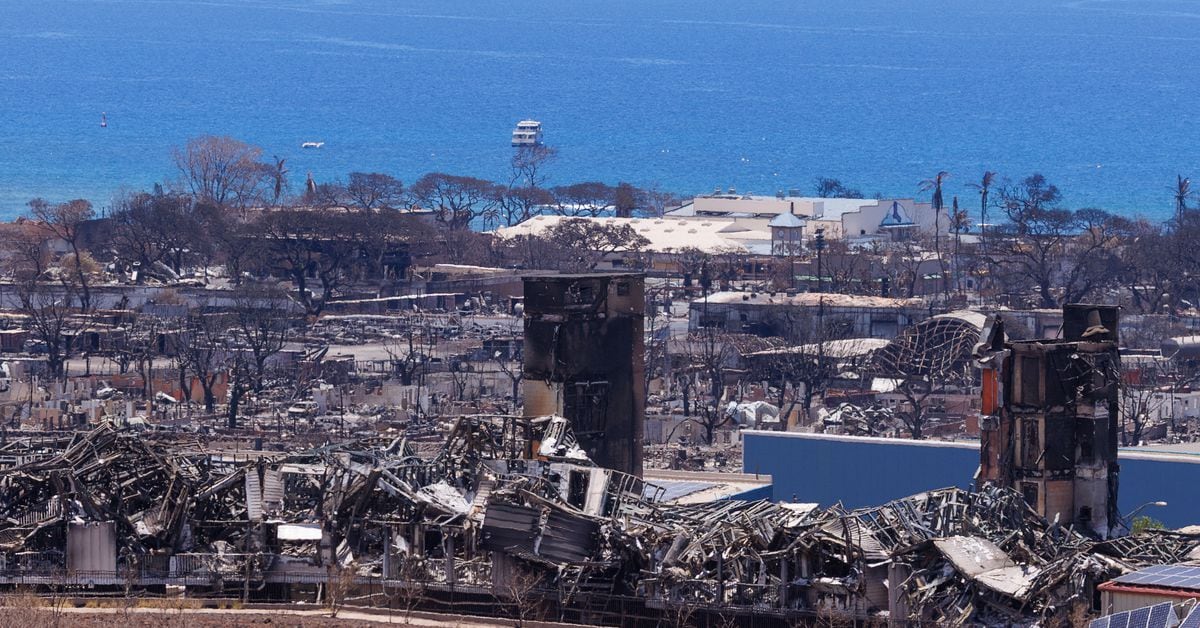 Rebuilding and Relief: Maui's Response to the Devastating Hawaii Wildfires