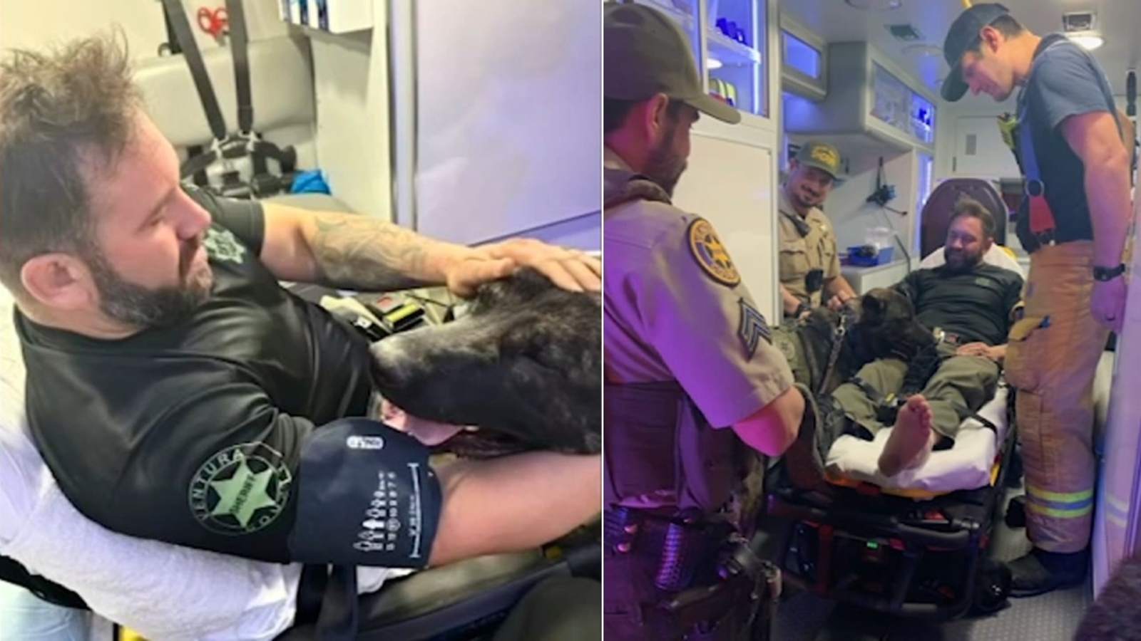 Featured image for Sheriff's Deputy and K-9 Injured in Suspected DUI Crash on PCH