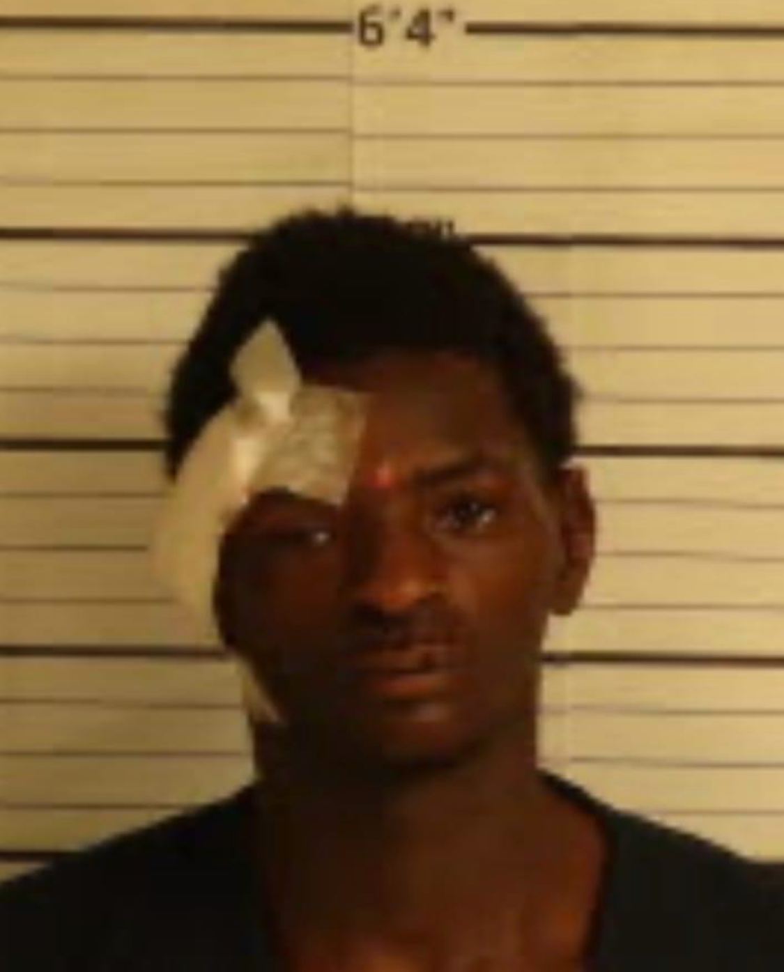 Fatal Stolen Car Chase: 2 Dead, Survivor Arrested