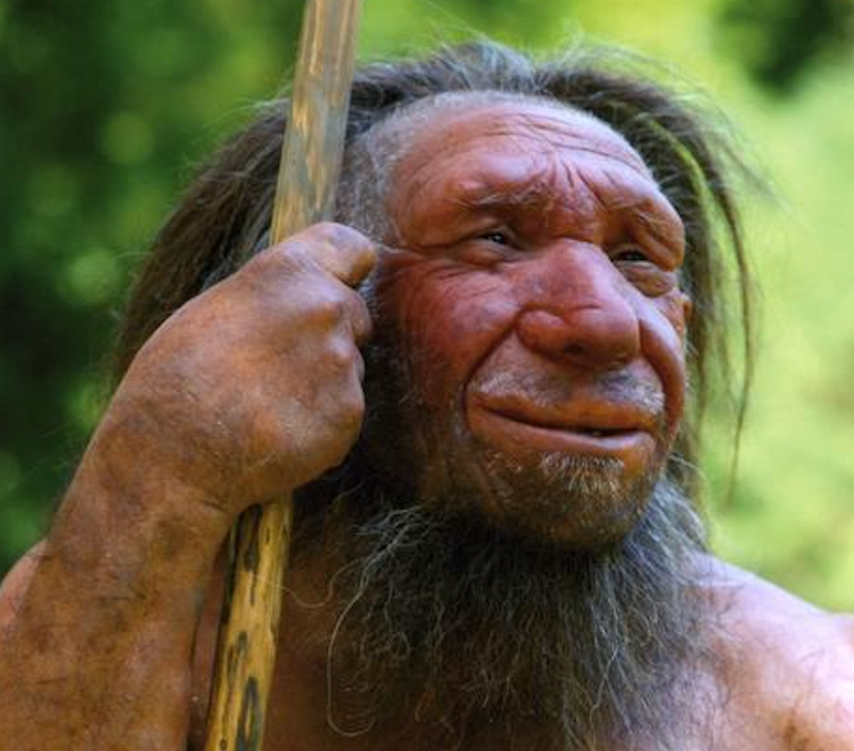Reevaluating Neanderthals: A Different Human Form or Separate Species?