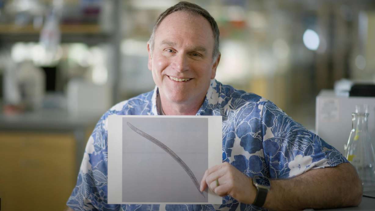 Featured image for "BYU Alumnus Honors Former Professor with Newly Discovered Pest-Fighting Nematode"