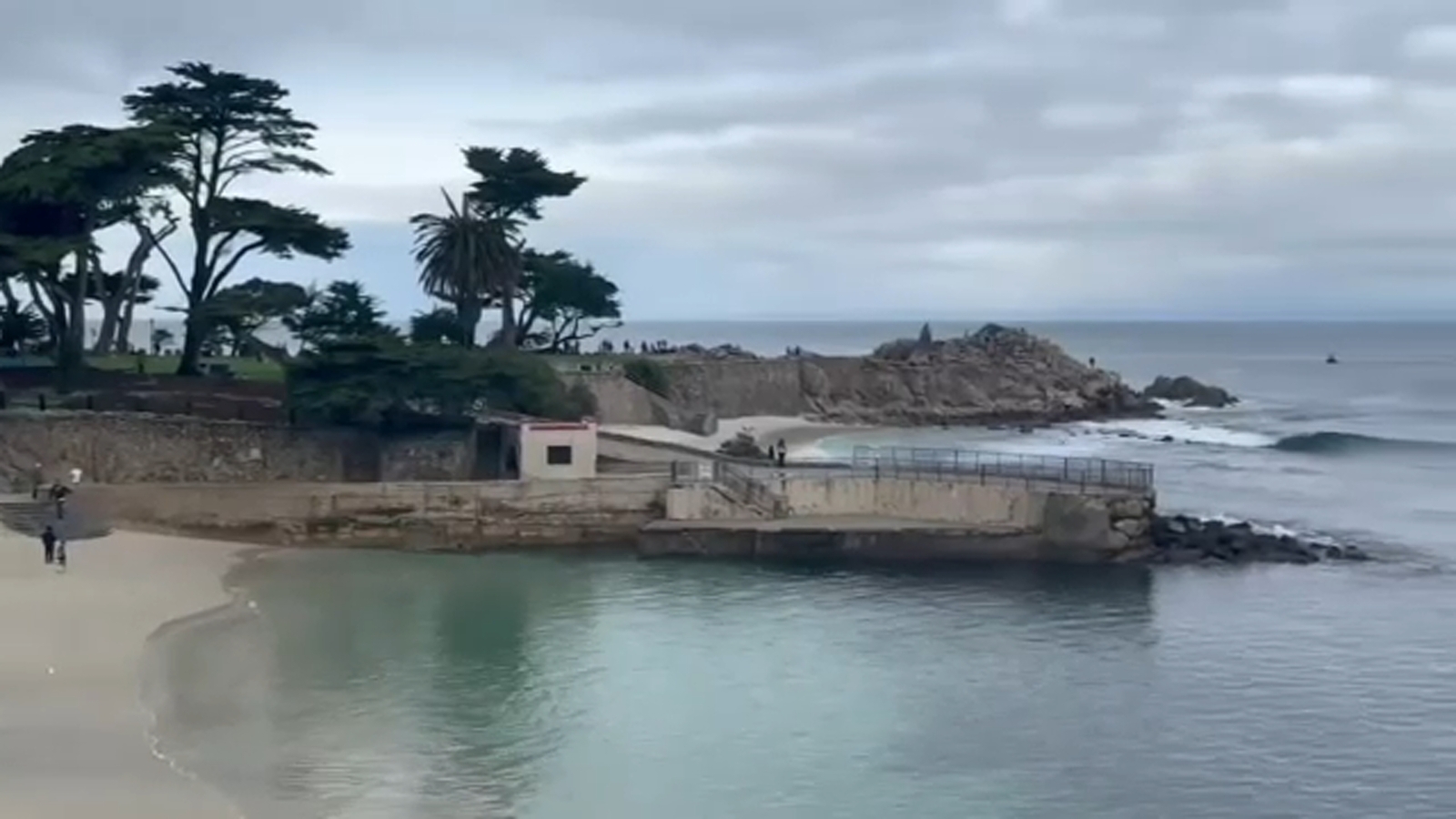 Featured image for Search Continues for Missing Swimmer After Possible Shark Attack at Central Coast Beaches