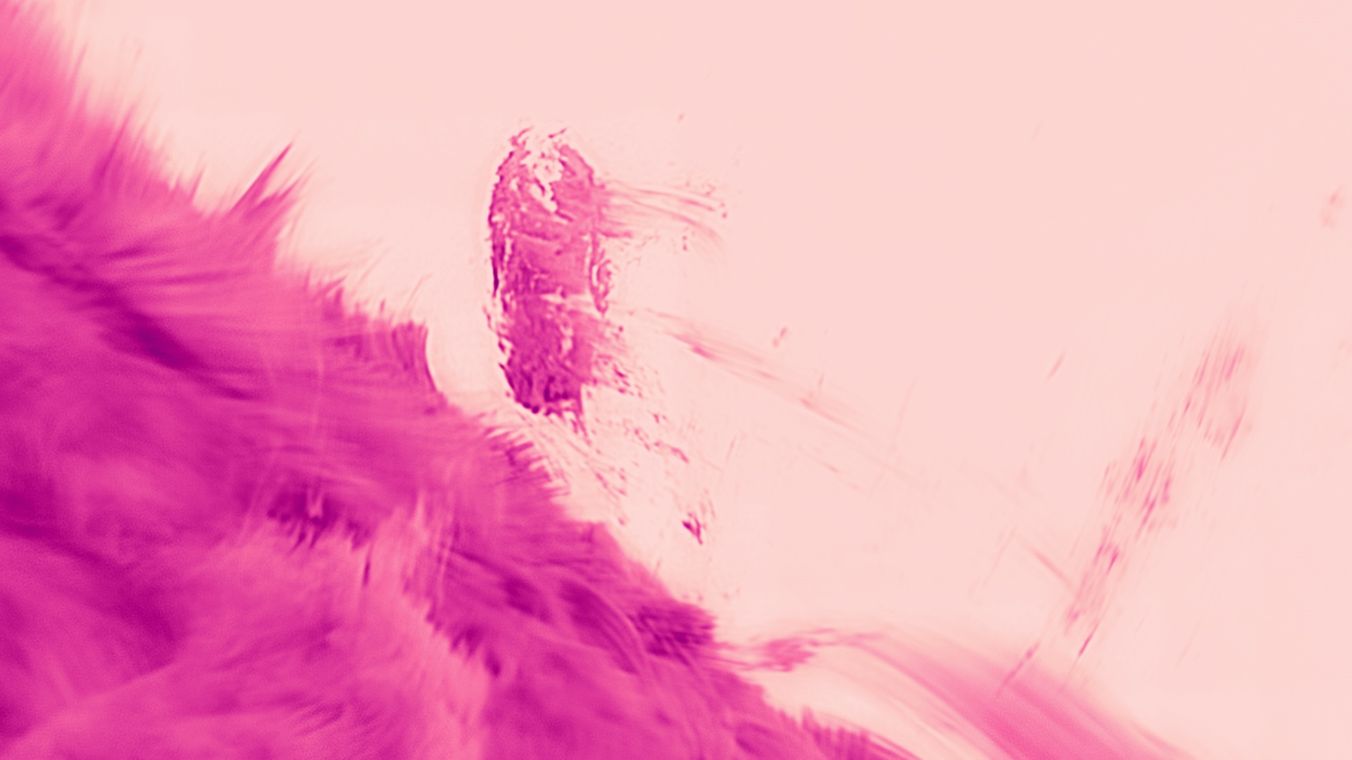 Featured image for Scientists Capture the Sun's Corona in Unprecedented Detail