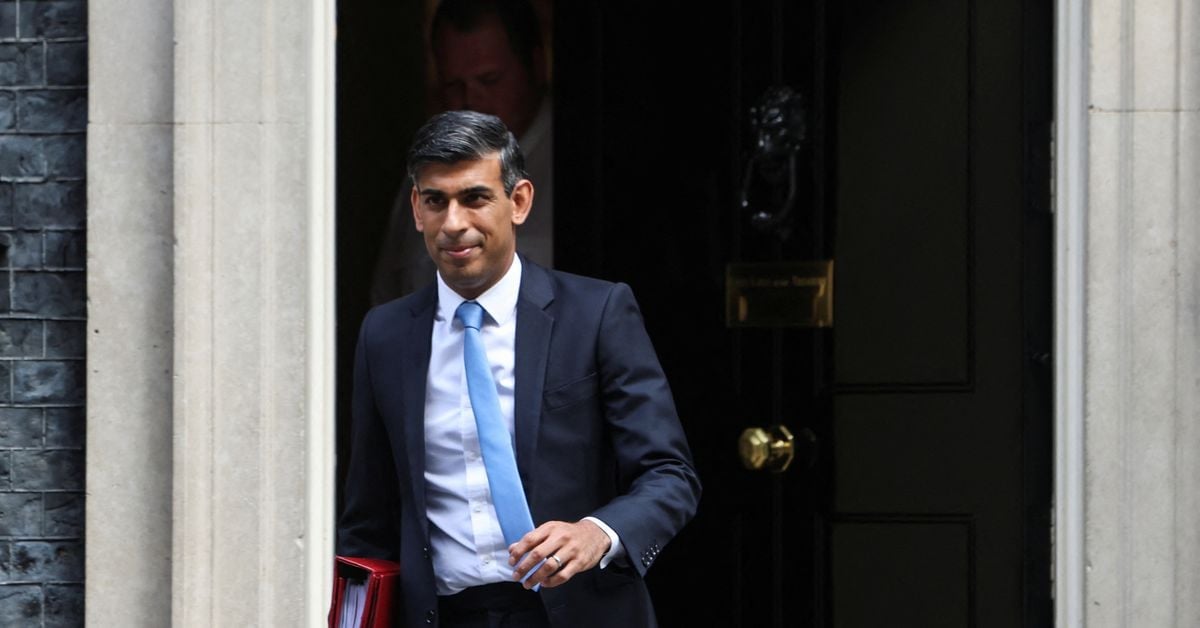 UK to Prohibit American XL Bully Dogs Following Attacks