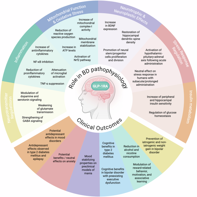 Featured image for Emerging Role of GLP-1 Receptor Agonists in Bipolar Disorder Treatment