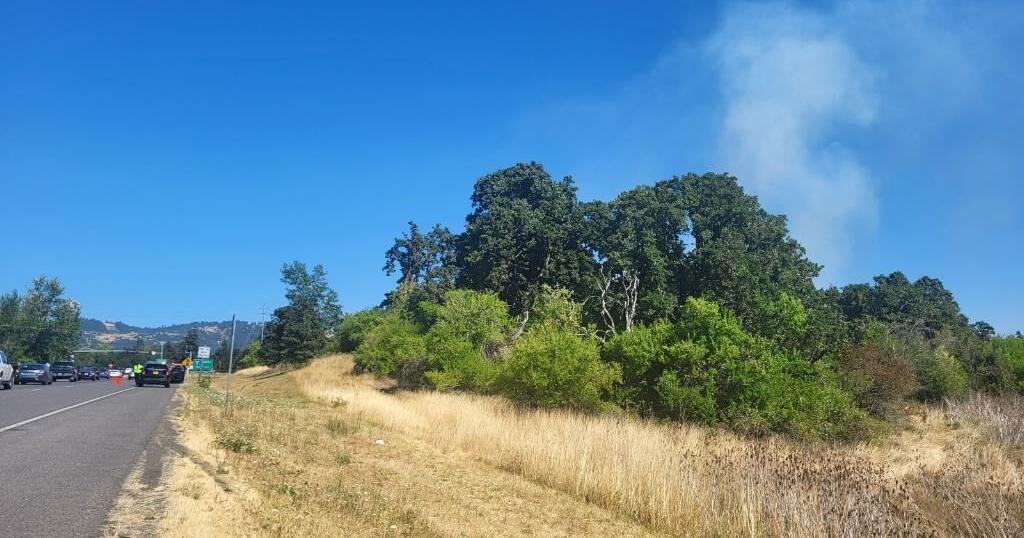 Multiple Brush Fires Erupt Near Lane Community College in Eugene