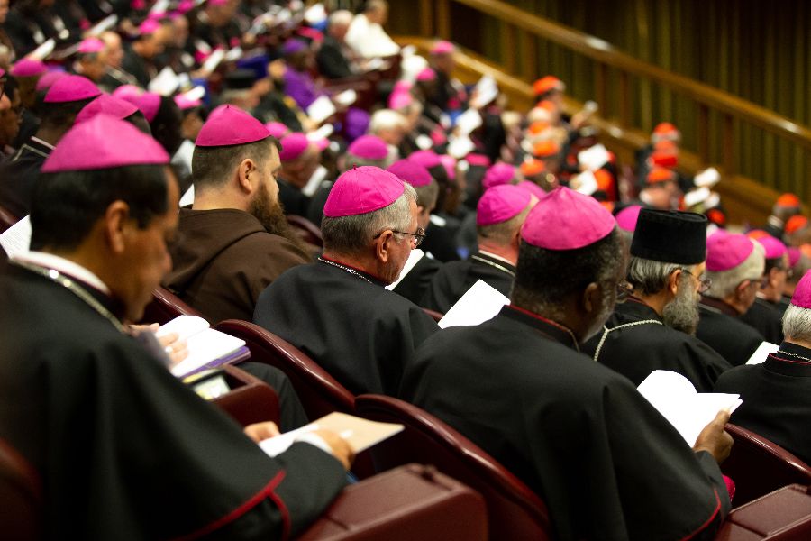 Featured image for Pope Francis selects US allies and LGBTQ+ advocate for Synod on Synodality