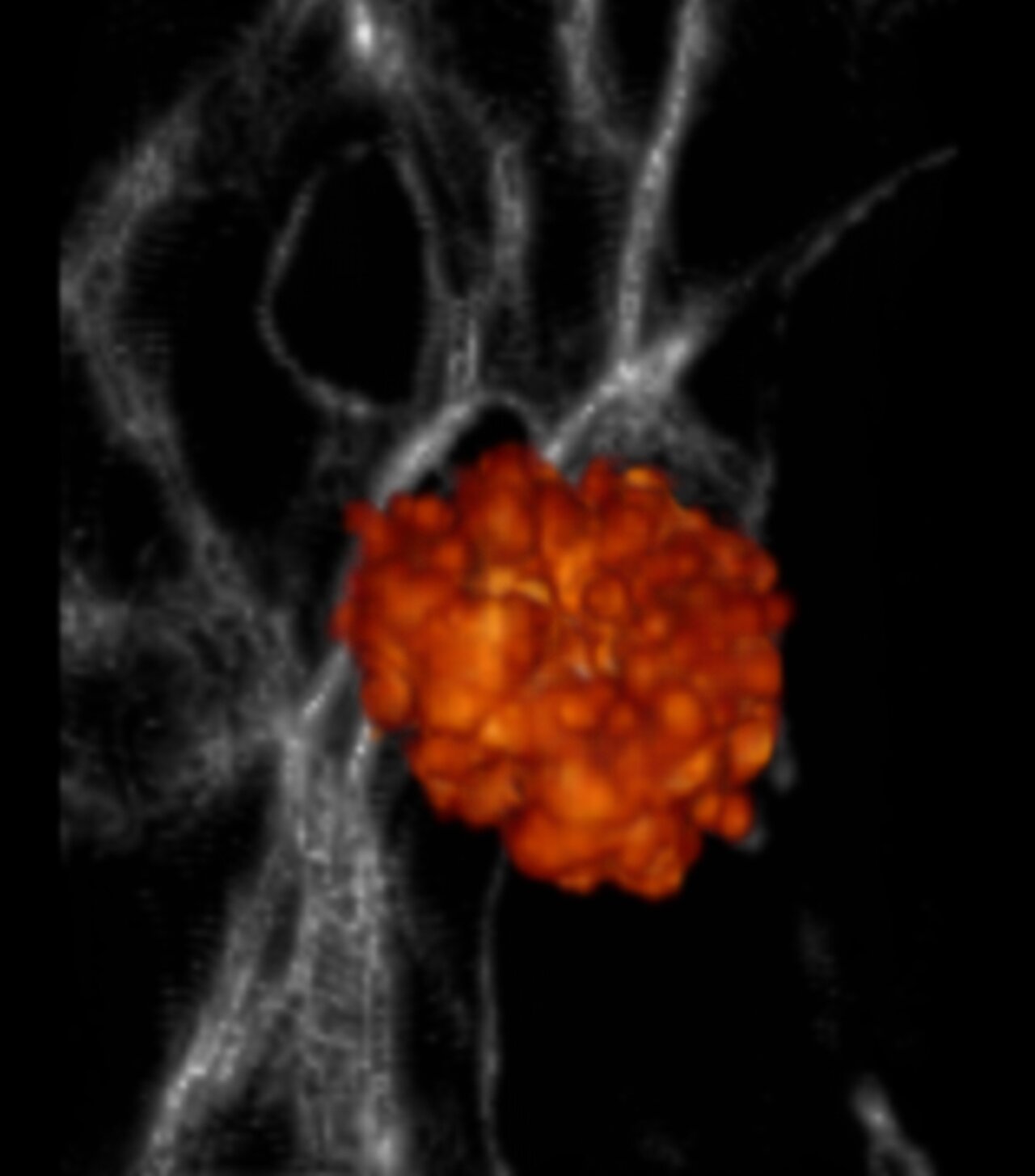 Featured image for "Revealing the Birth of the First Galaxies"