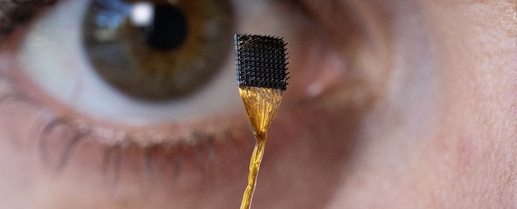 Featured image for Revolutionary Brain Implants Enable Real-Time Inner Speech Decoding