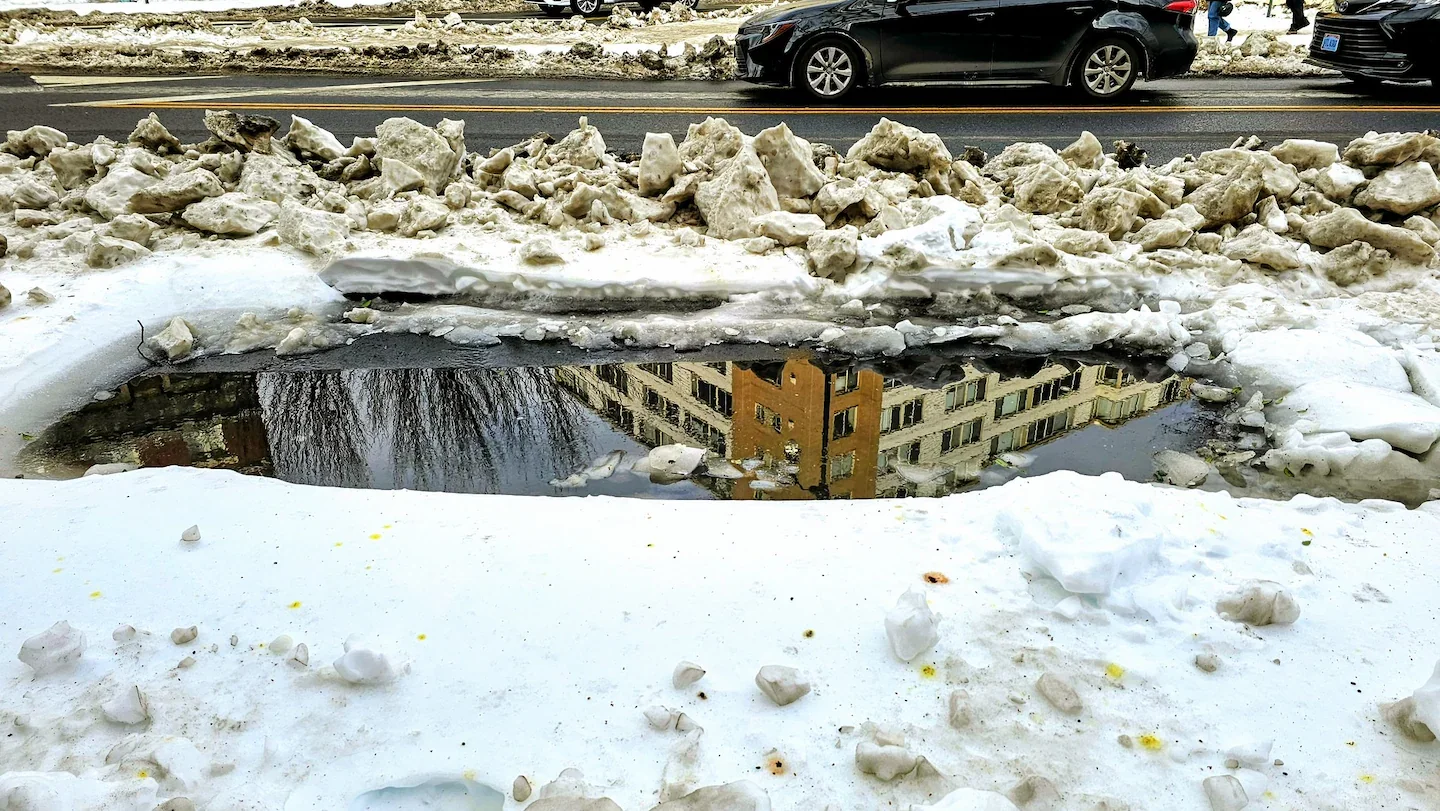 Chilly Till Friday, Then a Weekend Deep Freeze for DC