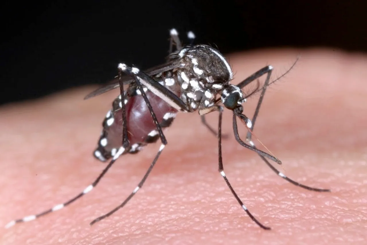 Mosquitoes in Suffolk carry West Nile virus and eastern equine encephalitis