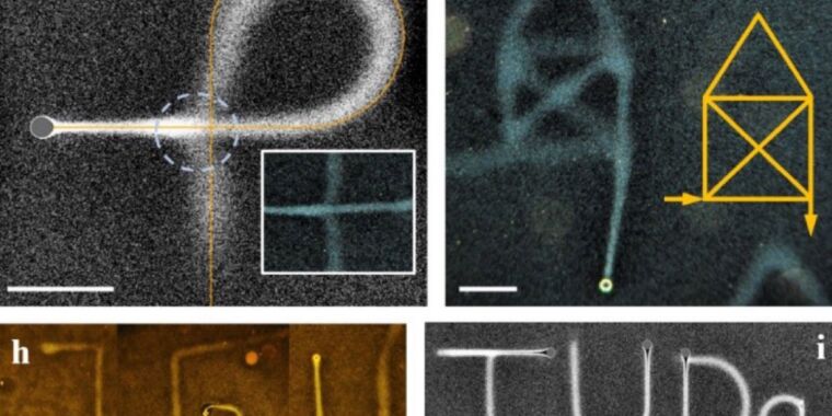"Unlocking the Secrets: Scientists Master the Art of Writing in Water"