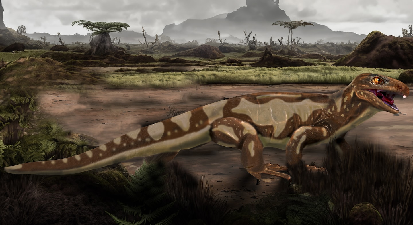 Featured image for "Scientists Uncover World's Oldest Fossilized Reptile Skin, Dating Back 300 Million Years"