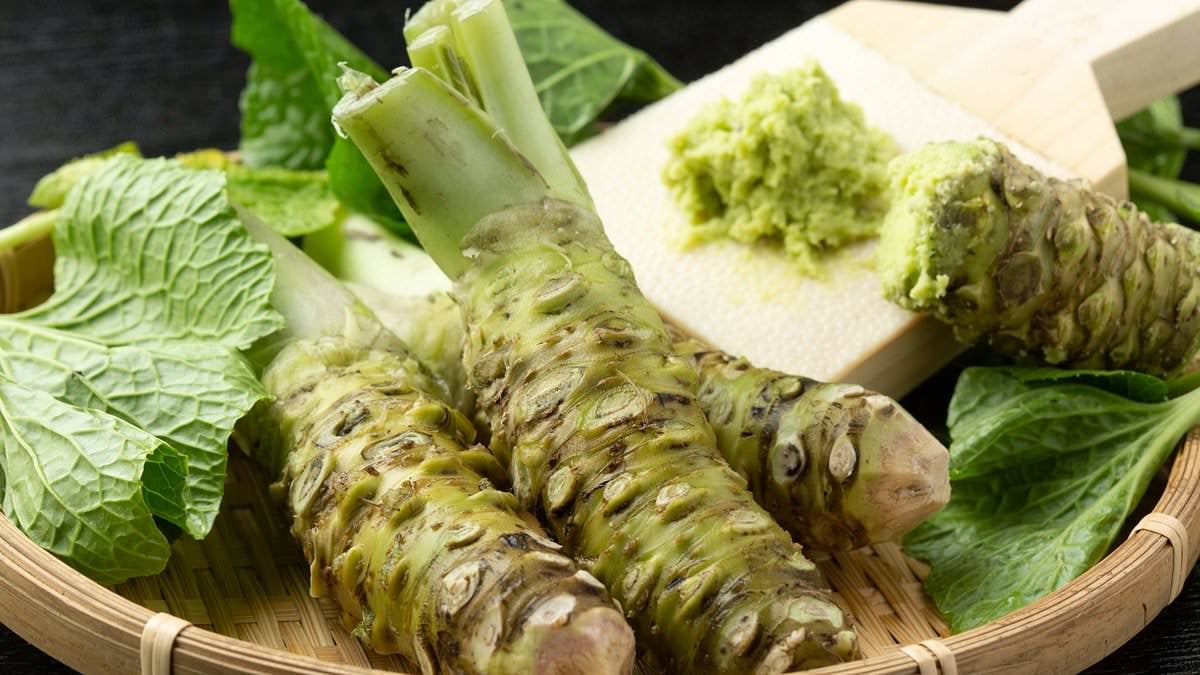 Featured image for The Truth Behind Wasabi's Memory-Boosting Powers