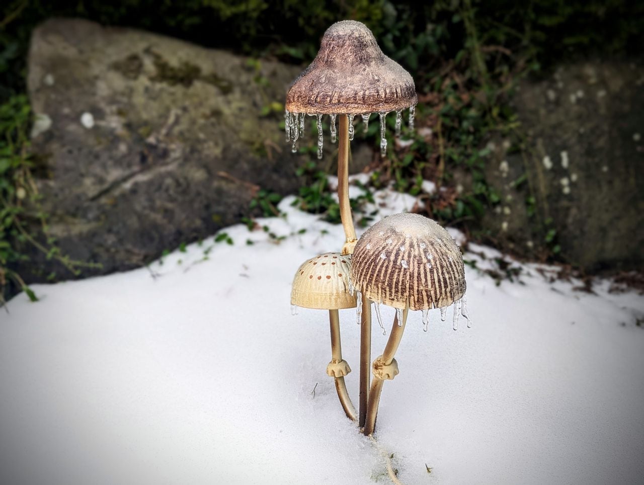 "Potential Return of Freezing Rain to Portland/Vancouver Metro Area"