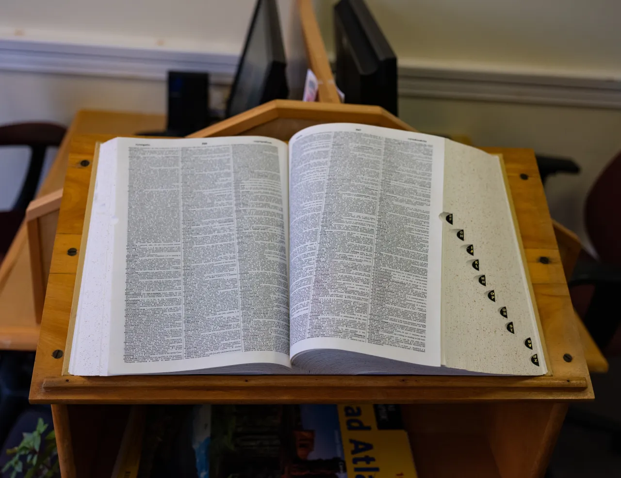 Featured image for Dictionary.com Crowns 'Demure' as 2024 Word of the Year