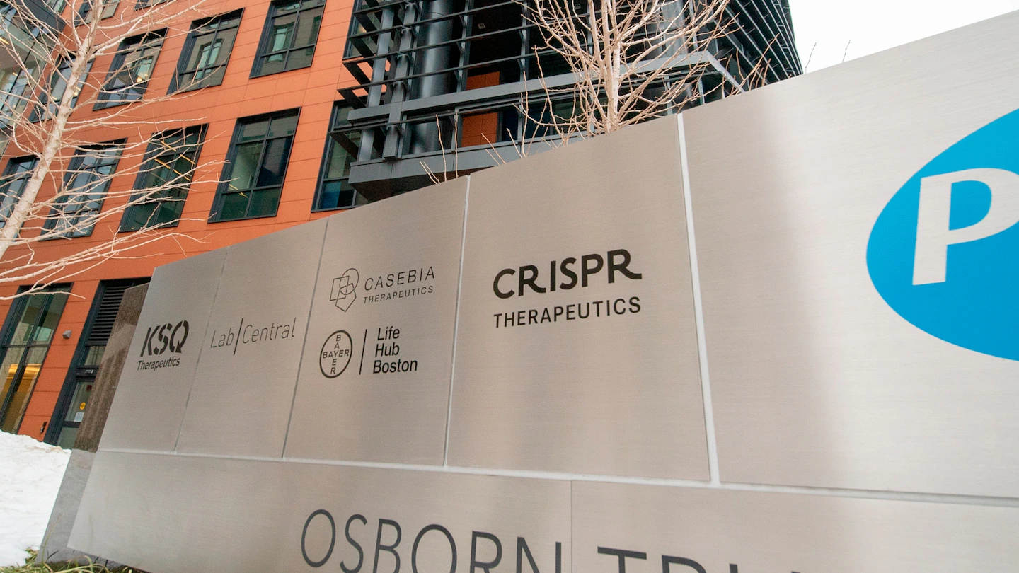 Featured image for One-Time Gene Editing Treatment Significantly Lowers Cholesterol