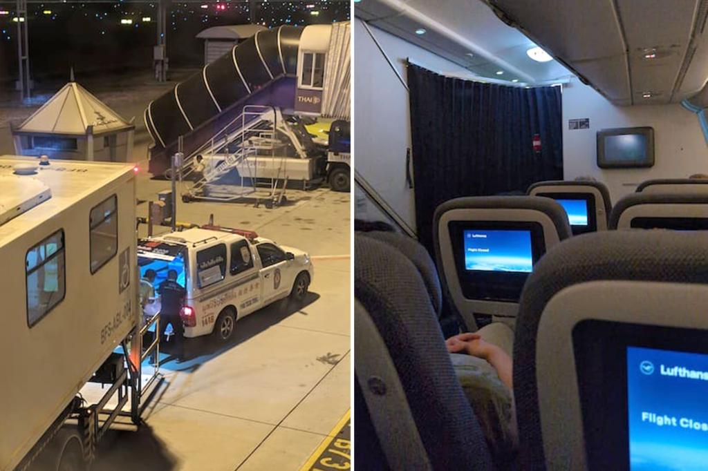 "Mid-Flight Tragedy: Passenger Dies After Blood Erupts from Face"