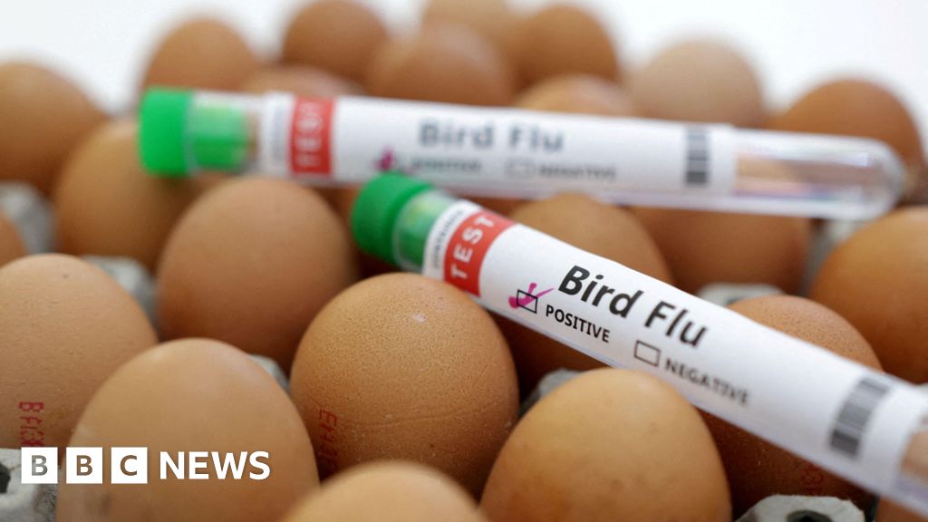 Featured image for Bird Flu Outbreaks Surge Across UK and Europe