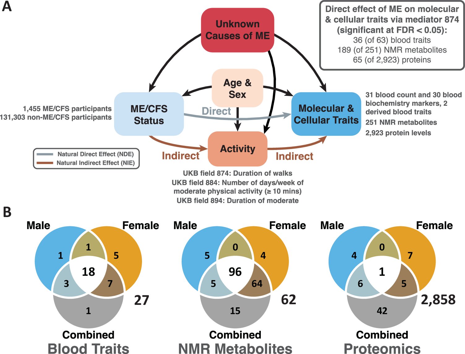 Featured image for New Blood Test Offers Reliable Diagnosis for Chronic Fatigue Syndrome