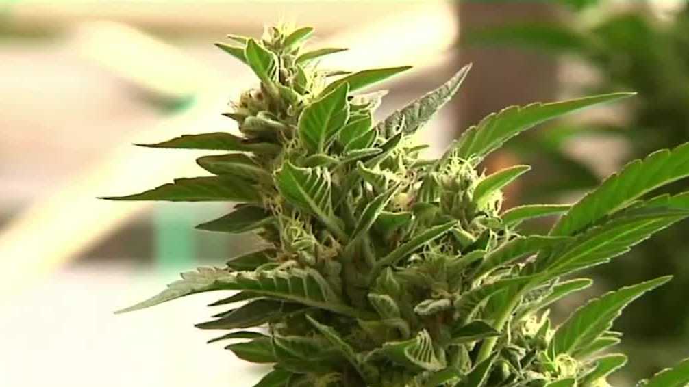 NH Governor Chris Sununu shifts stance, now supports limited marijuana legalization