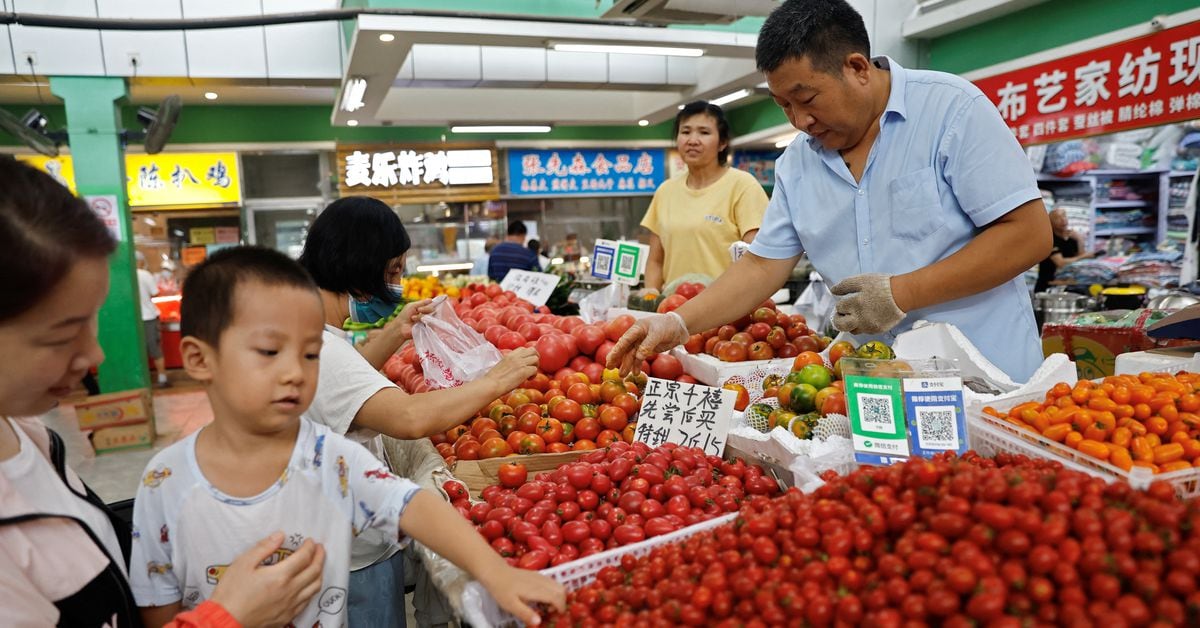China's Consumer Prices Slip Again Amid Uncertain Economic Recovery