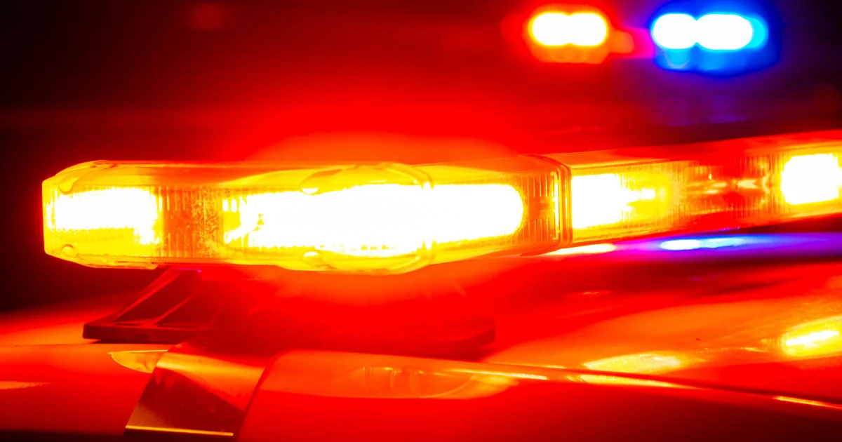 Featured image for Driver Claims Deer Collision, Police Discover Dead Body in Car