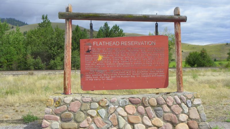 Featured image for Men Indicted for Killing and Trafficking Protected Eagles