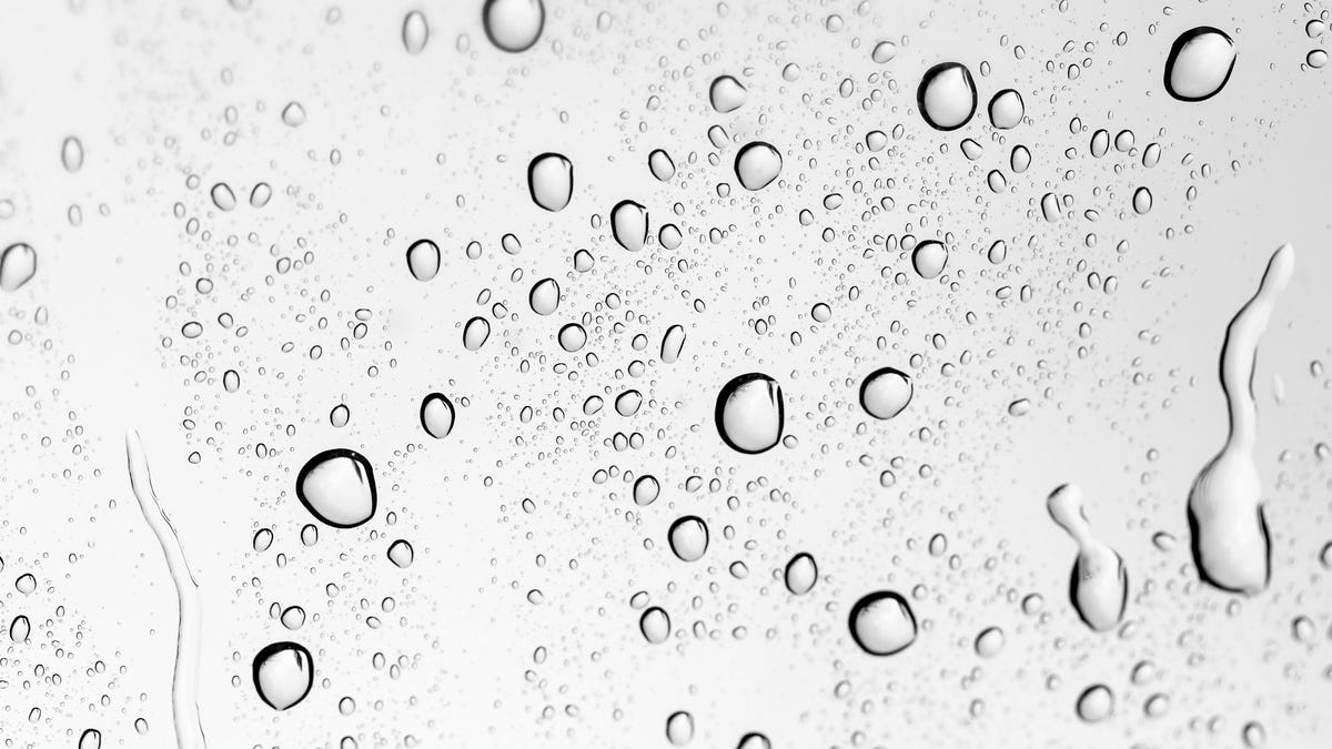 Featured image for Revolutionary Breakthrough: Unveiling the Ultimate Water-Repellent Surface