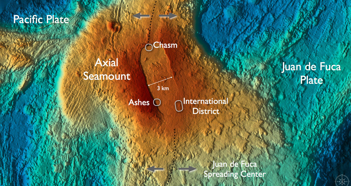 Featured image for Pacific Coast Underwater Volcano May Erupt Soon, Scientists Warn