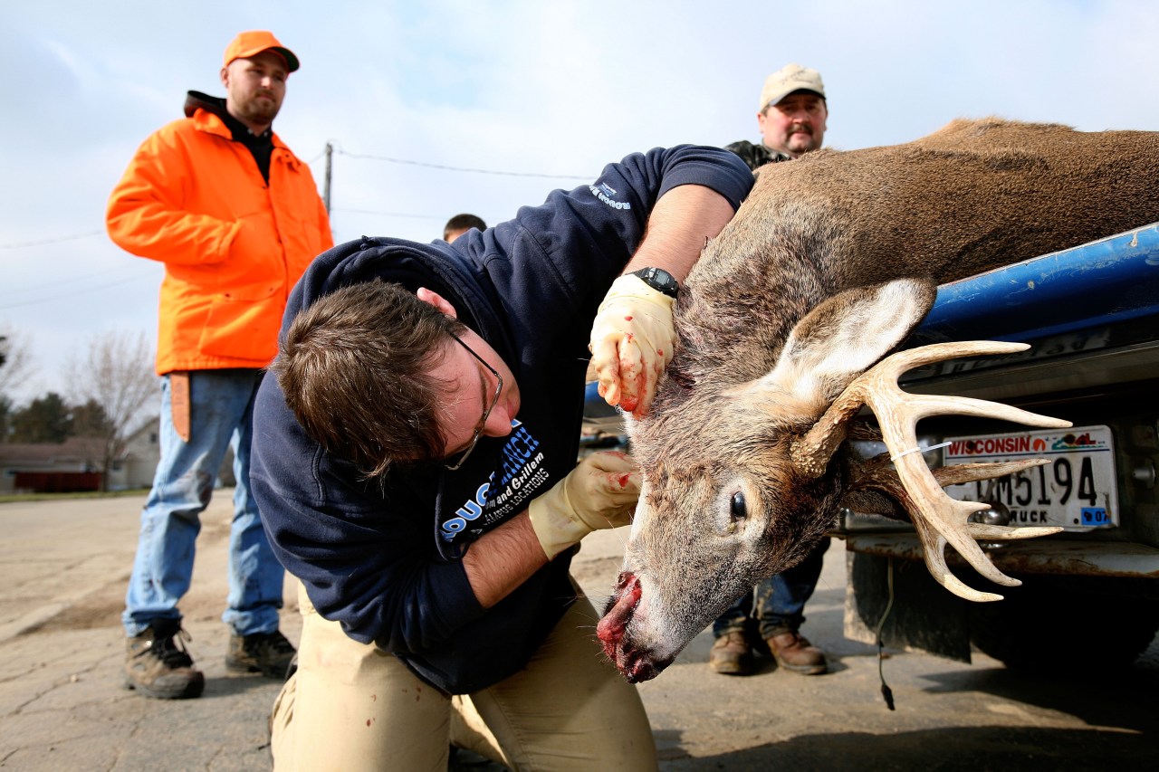"Rising Concerns: Fatal Deer Disease Threatens Wildlife and Humans"