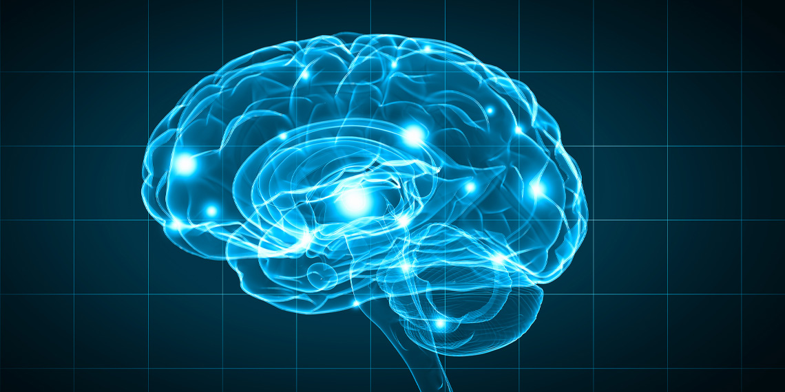 Loneliness affects brain processing.