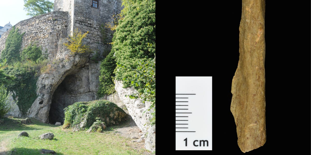 Featured image for "Rewriting Early Human History: Coexistence of Modern Humans and Neanderthals Revealed"