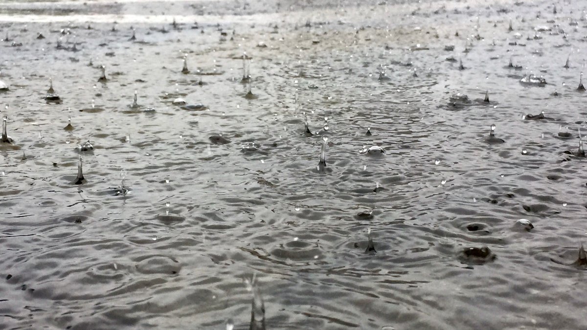 "Flash Floods Paralyze Chicago Highways, Stranding Drivers and Forcing Stevenson Expressway Closure"